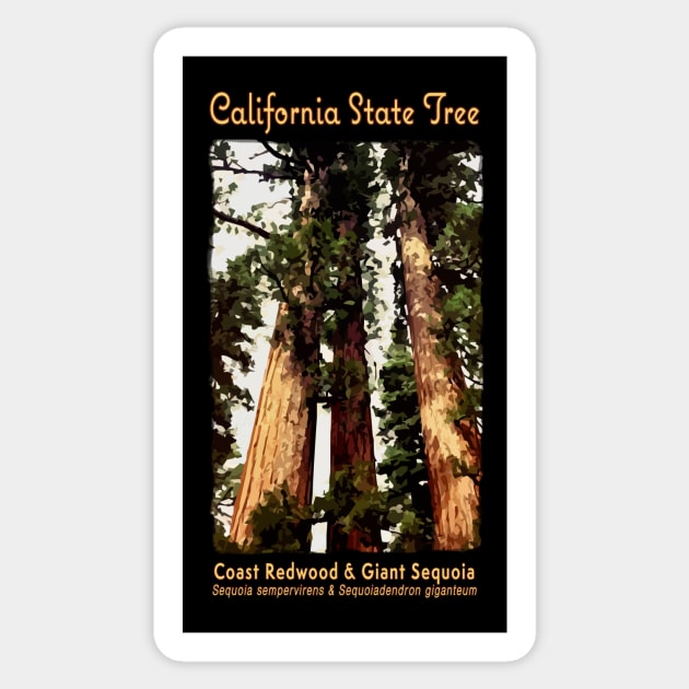 State Tree of California - Redwood, Sequoia Big Trees Sticker by jdunster